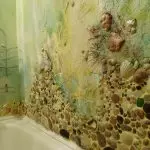 Kuinka tyylikkäästi koristele kylpyhuone: parhaat suunnitteluideat (+36 kuvat)