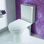 تصميم المرحاض 2019-2019: أفكار تصميم الحمام الحديث