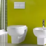 Felfüggesztett WC-vel: Tippek a telepítés kiválasztásához és telepítéséhez