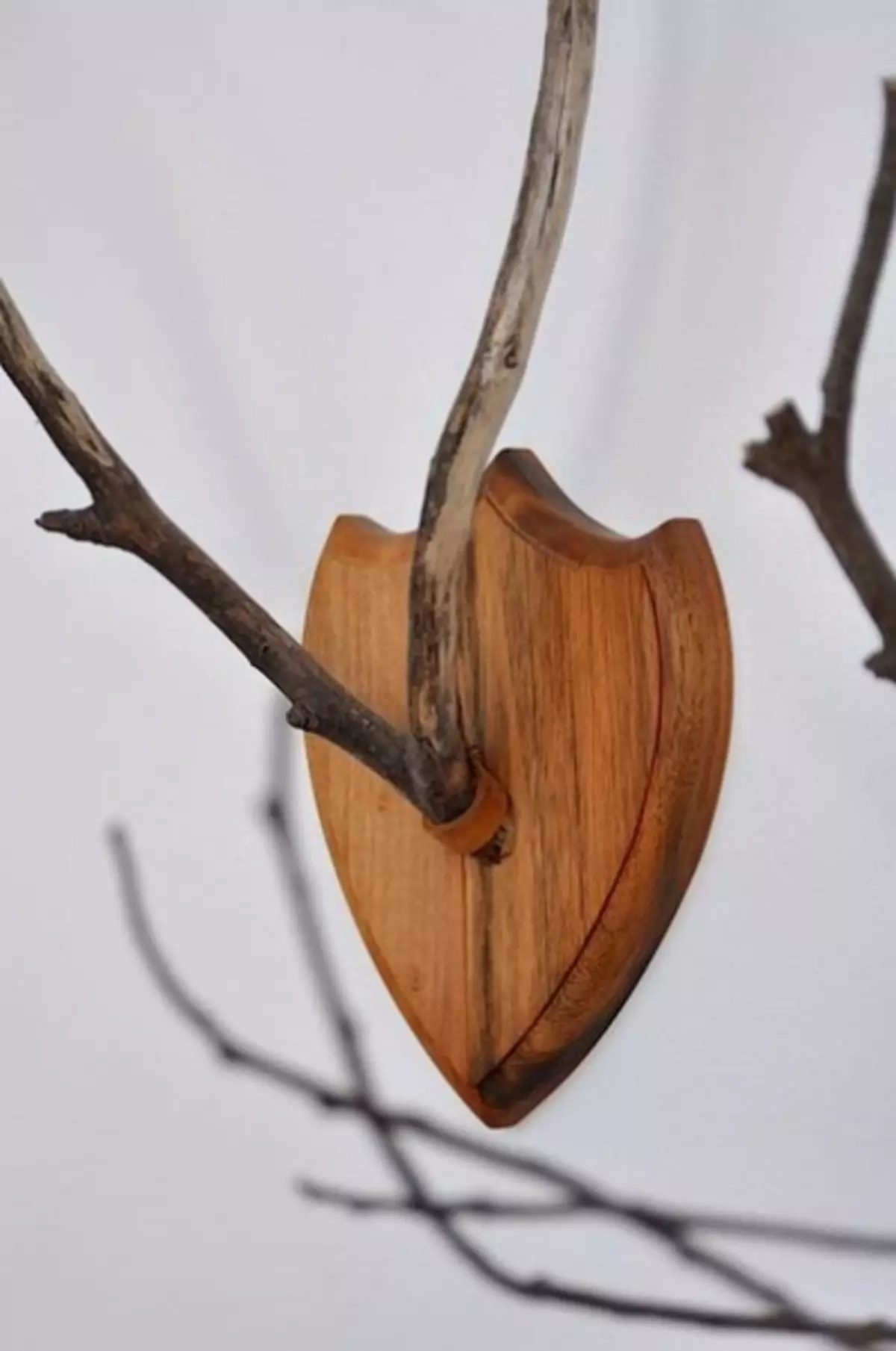 Éco-décor des branches à l'intérieur: artisanat en bois avec leurs propres mains