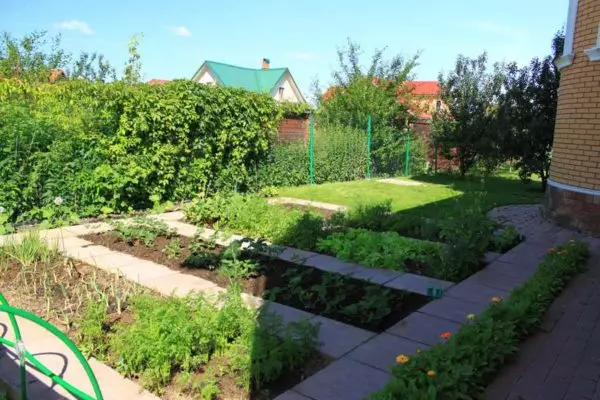 懒惰和聪明的花园：如何制作舒适和果床