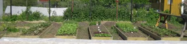 Zahrada pro líné a Smart: Jak se pohodlně a ovocné postele
