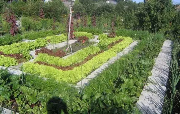 Trädgård för lat och smart: Hur man gör bekväma och fruktbäddar