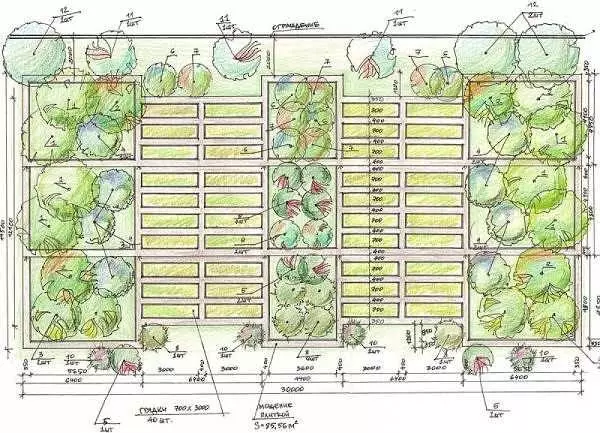 懶惰和聰明的花園：如何製作舒適和果床