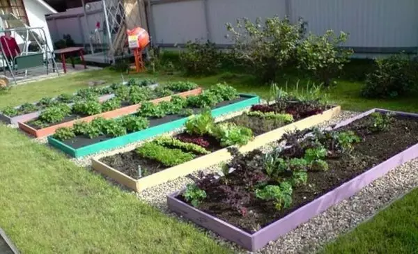 Garden for lazy and smart: how to make comfortable and fruit beds