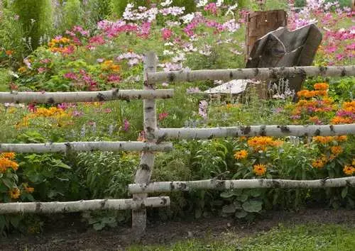 Garden arrangement: site design yourself (60 photos)