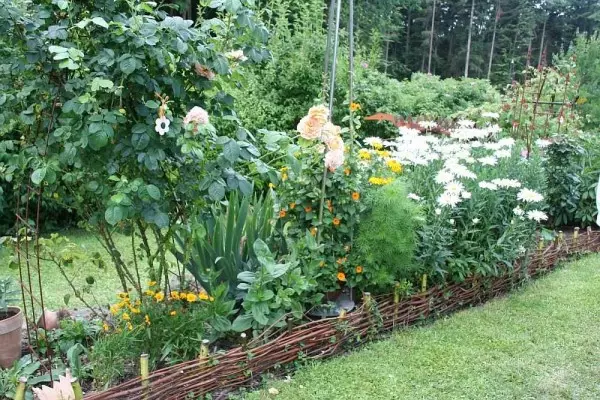 ဥယျာဉ်အစီအစဉ် - ဆိုက်ဒီဇိုင်းကိုယ်သင်ကိုယ်တိုင် (ဓာတ်ပုံ 60)