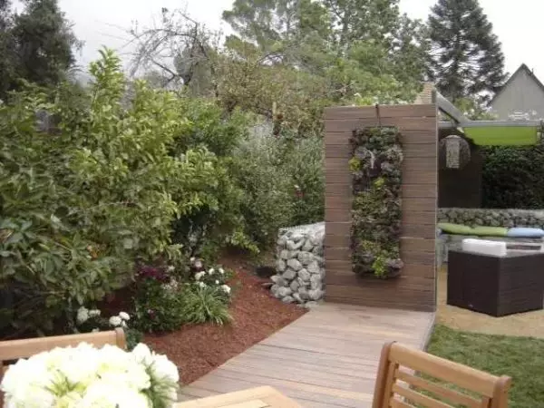 Ordenació del jardí: disseny de llocs vosaltres mateixos (60 fotos)