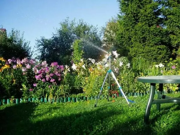 איך לבחור משאבה להשקות את הגן