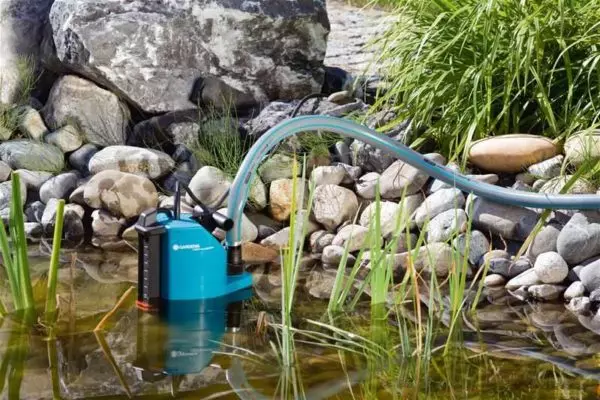Hvordan velge en pumpe for å vanne hagen