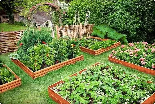 장식 정원 : 아름다운 침대 - 60 사진 만들기