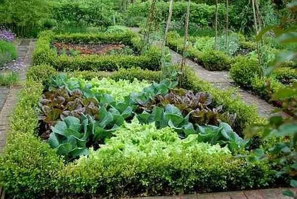장식 정원 : 아름다운 침대 - 60 사진 만들기