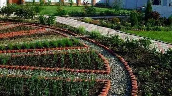 Decoratieve tuin: Mooie bedden maken - 60 foto's