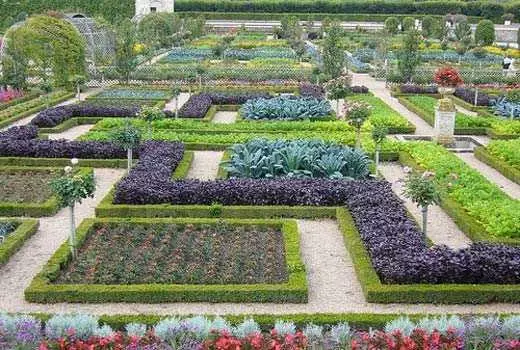 Dekorativ hage: Å lage vakre senger - 60 bilder
