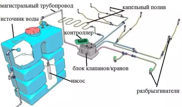 Авто raxpression оны өзіңіз жасаңыз