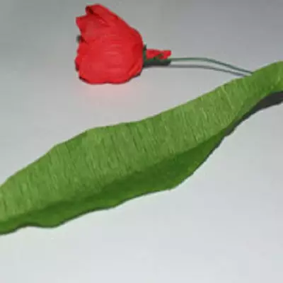 Tulipa de paper corrugat per a principiants: classe magistral pas a pas