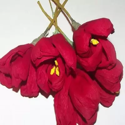 প্রারম্ভিকদের জন্য ঢেউতোলা কাগজ এর tulip: ধাপে ধাপে মাস্টার ক্লাস