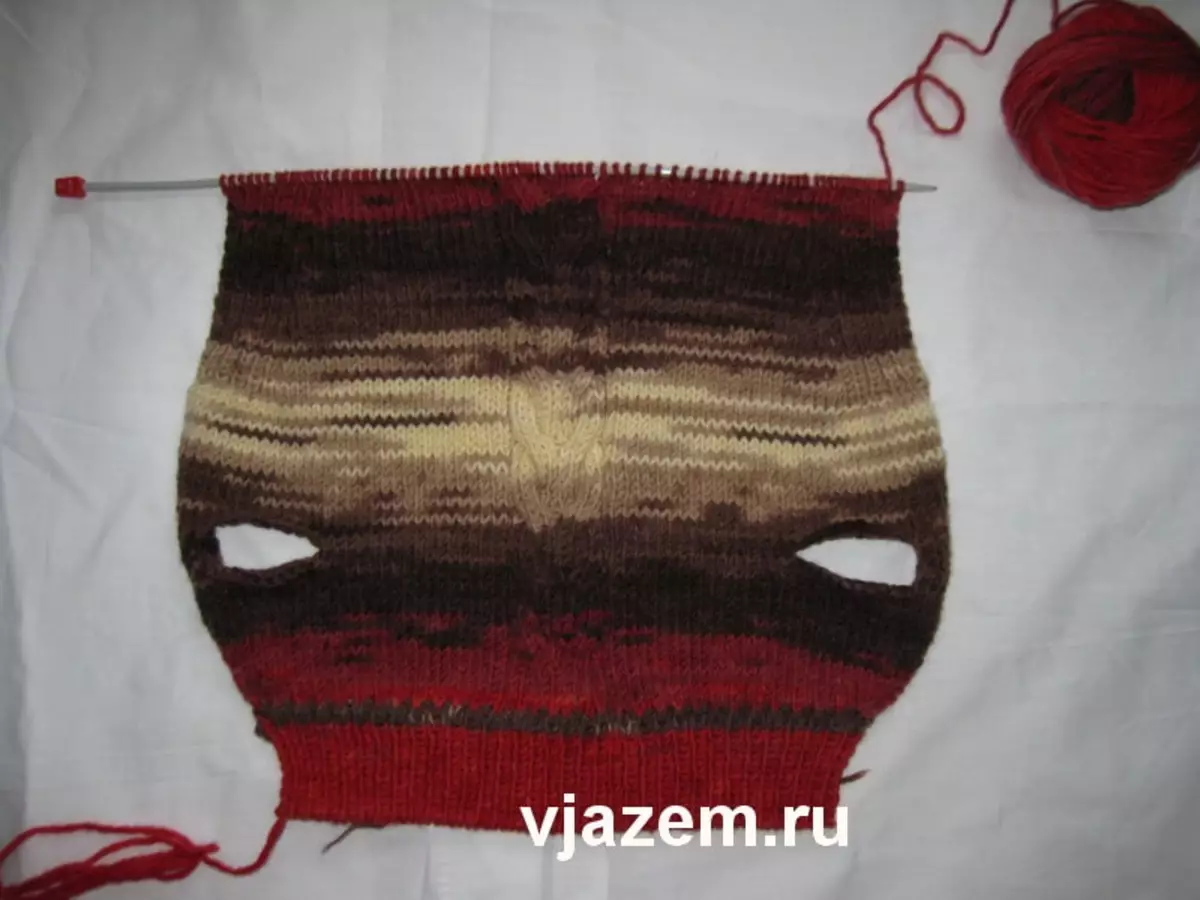 Sweater foar hûnen mei stricken, naalden: Masterklasse mei skema's en fideo