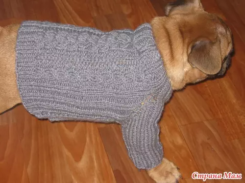 Suéter para perros con agujas de tejer: clase magistral con esquemas y video
