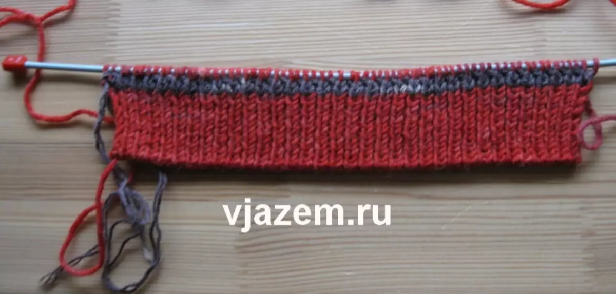 Sweater para cans con agullas de tricotar: clase mestra con esquemas e video