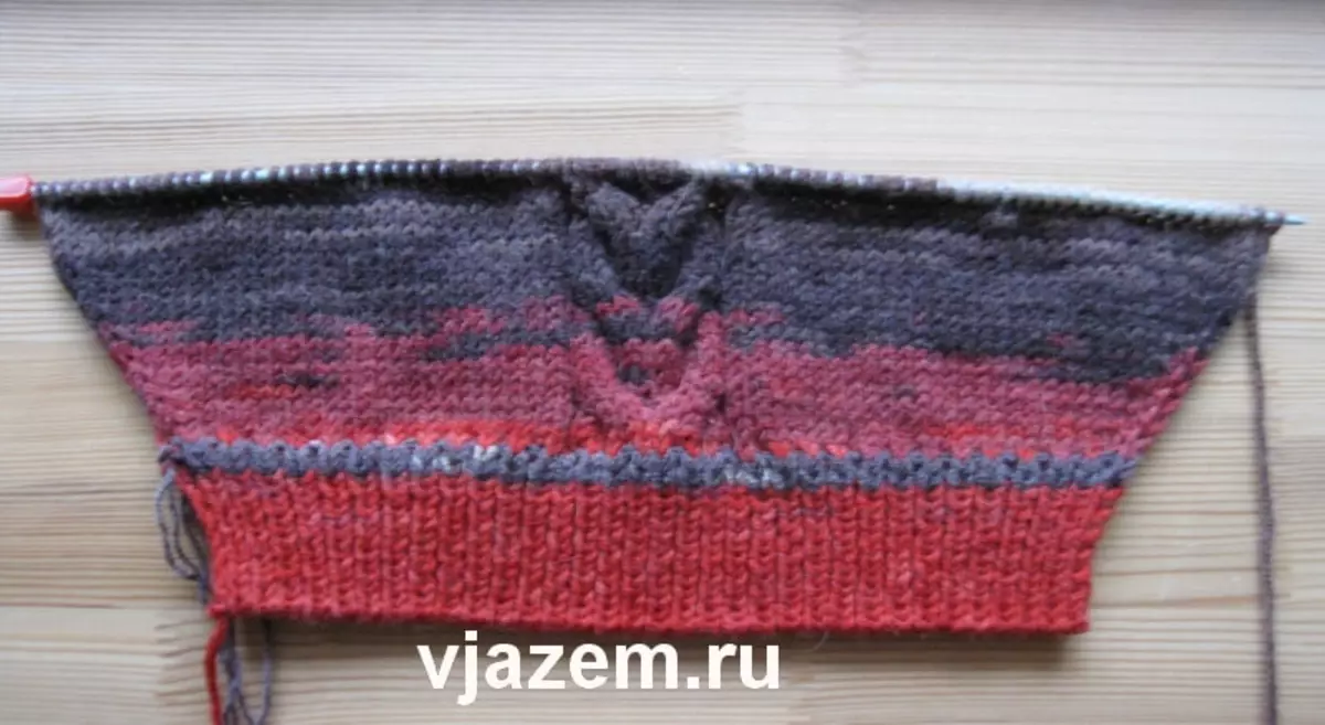 Пуловер за кучета с игли за плетене: майсторски клас със схеми и видео