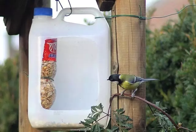 從塑料瓶中有多快，只是製造鳥類餵食器？