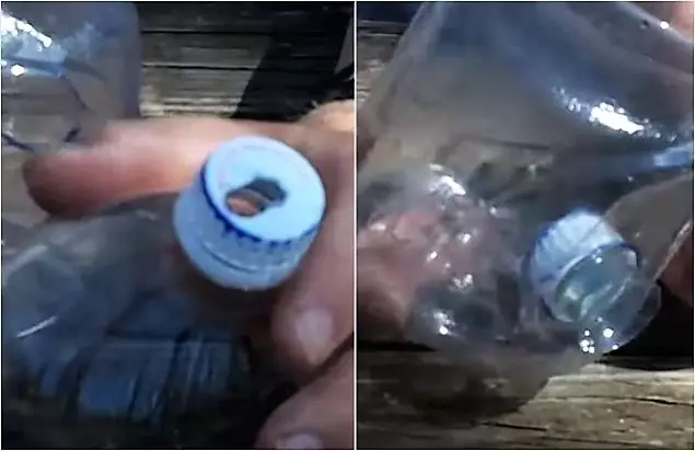 Hoe snel en maak gewoon een vogelvoeder van een plastic fles?