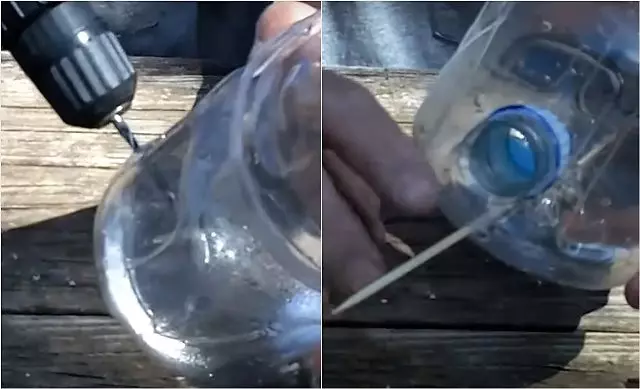 Koliko brzo i samo napravite uvlakač ptica iz plastične boce?