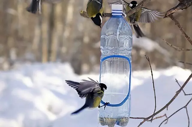 Колко бързо и просто направете храна за птици от пластмасова бутилка?