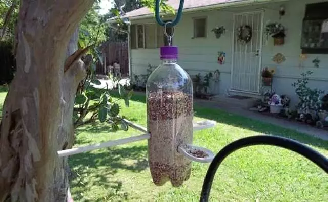 Que rapidez e só facer un alimentador de paxaros dunha botella de plástico?
