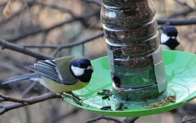 Ne kadar çabuk ve sadece bir kuş besleyiciyi plastik bir şişeden yapabilir?