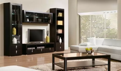 Nábytek pro obývací pokoj. Jak a jaký nábytek vybere pro obývací pokoj? Fotografie