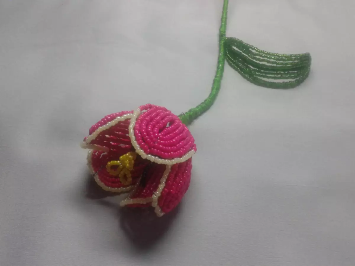 Tulip na beads don masu farawa: Class aji tare da bidiyo
