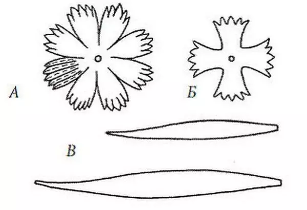 如何從波紋中製作鮮花（60張）