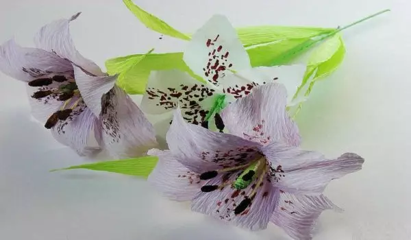 איך לעשות פרחים מן גלי (60 תמונות)