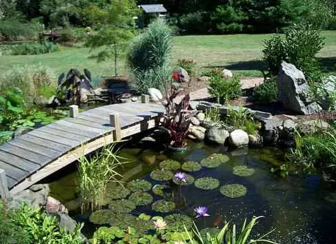 Stärkung der Ufer des Flusses, Teich. Beguckung von Wasserkörpern mit ihren eigenen Händen