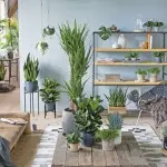 [Planter i huset] 5 fashionable planter