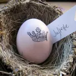 Technyk fan decoupage Easter Eggs: Wurkje mei aai-iikhoarn