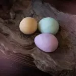 Decoupage 부활절 달걀의 기술 : 계란 다람쥐와 함께 일
