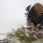 Técnica de Decoupage Ovos de Pascua: Traballa con esquilo de ovo