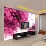 Kako okrasiti steno za TV?