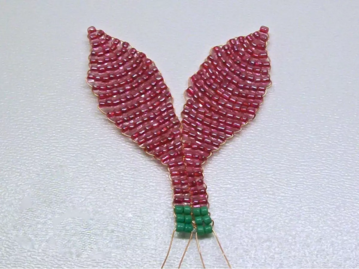 Beads-eko Fuchsia: Master Class Weaving eta bideo-eskemekin