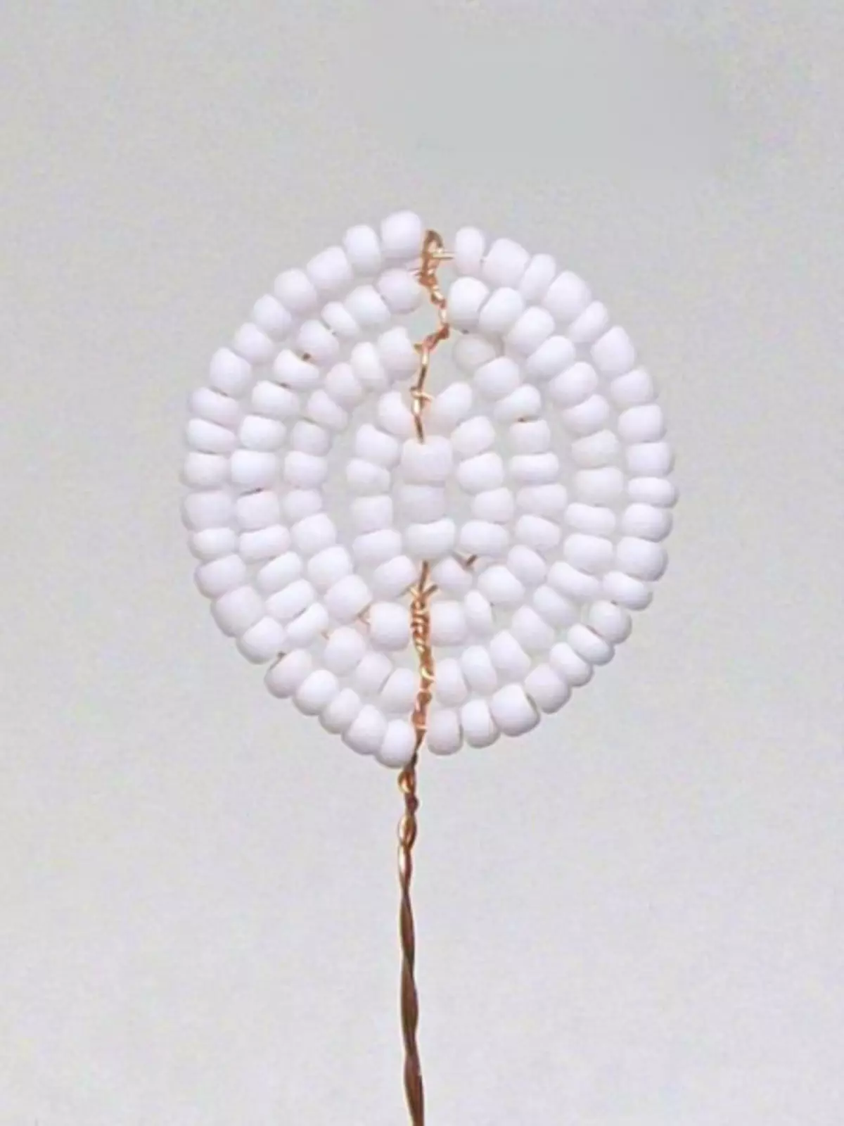 Fuchsia daga Beads: Classungiyoyin Jagora tare da Weaving da Tsarin Bidiyo