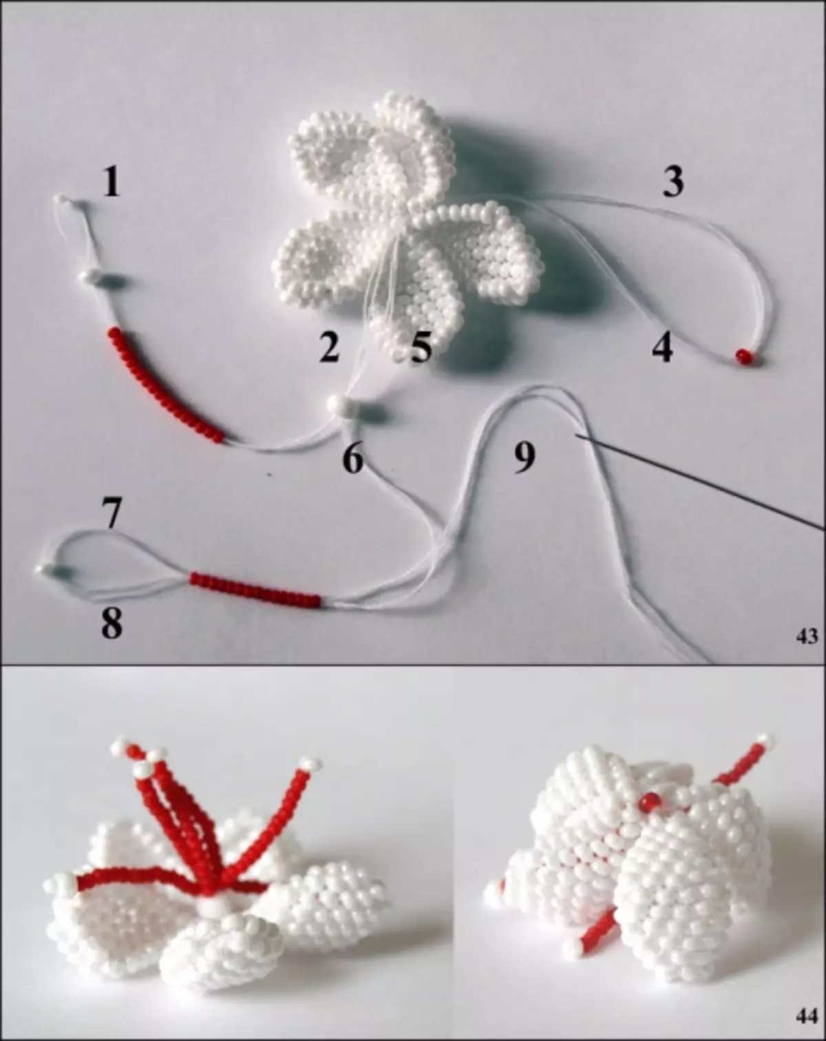 Fuchsia from Beads. Master Class Weaving եւ վիդեո սխեմաներ