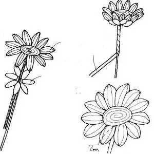 Sunflower avy any Beads: Master Class miaraka amin'ny diagram sy video