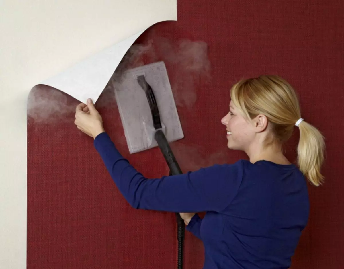 조작법 : 벽에서 플라이 선린 벽지를 제거하는 방법