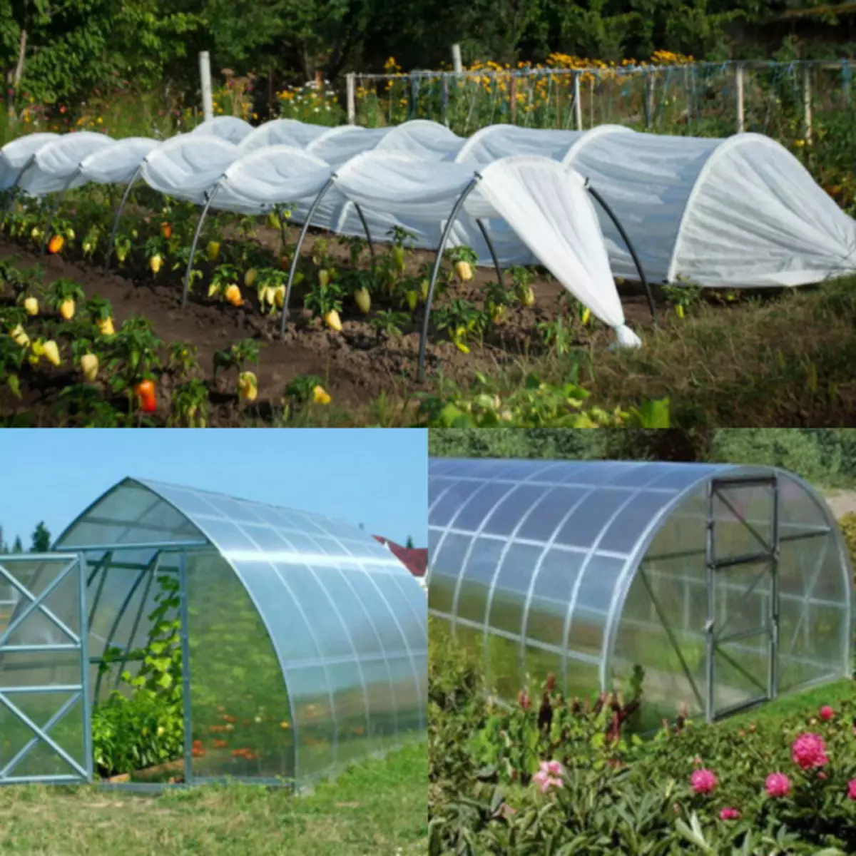 Budget options for greenhouses do it yourself