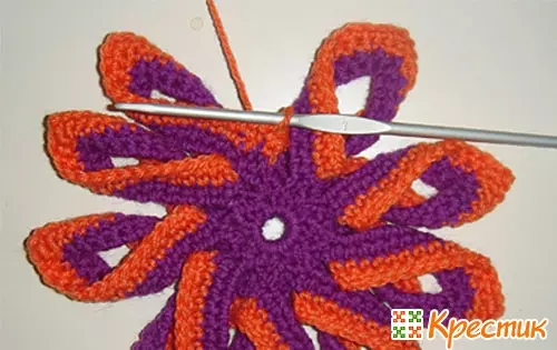 Crochet Sticks: Schémas et descriptions de tricot sur une classe de maître étape par étape avec photos et vidéo