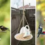 Alimentatori per gli uccelli nel giardino d'autunno con le loro mani