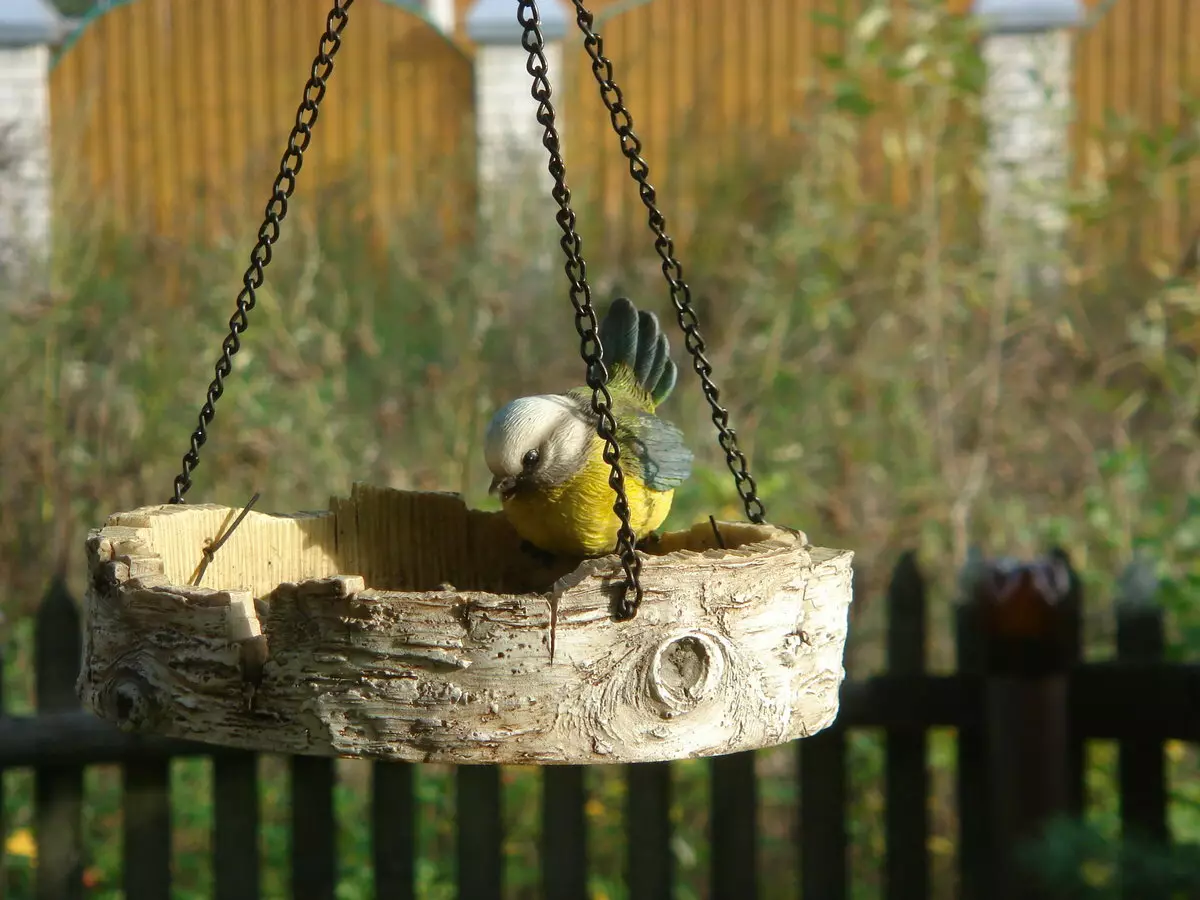 Alimentatori per gli uccelli nel giardino d'autunno con le loro mani